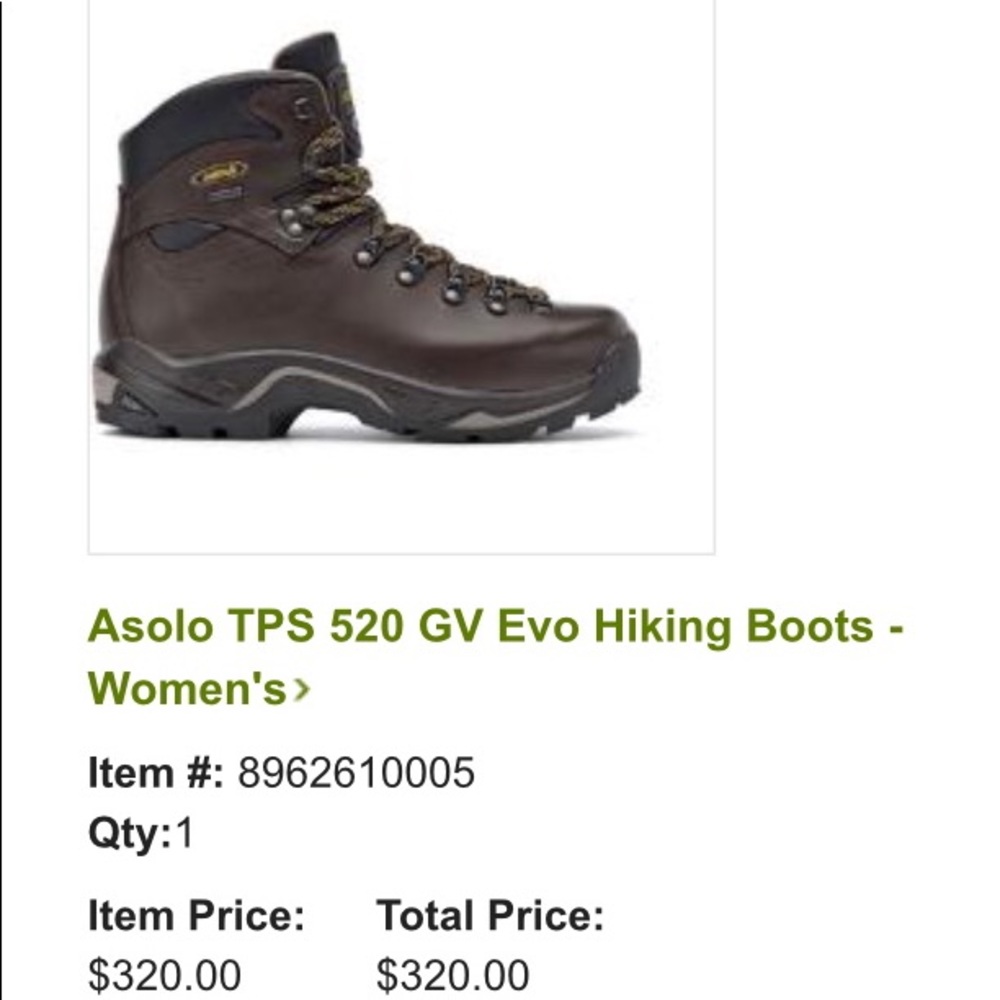Asolo hiking boots